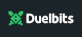 Go to Duelbits website